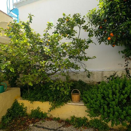 Αρχοντικό Πατάκα Διαμέρισμα Rhodes City Εξωτερικό φωτογραφία
