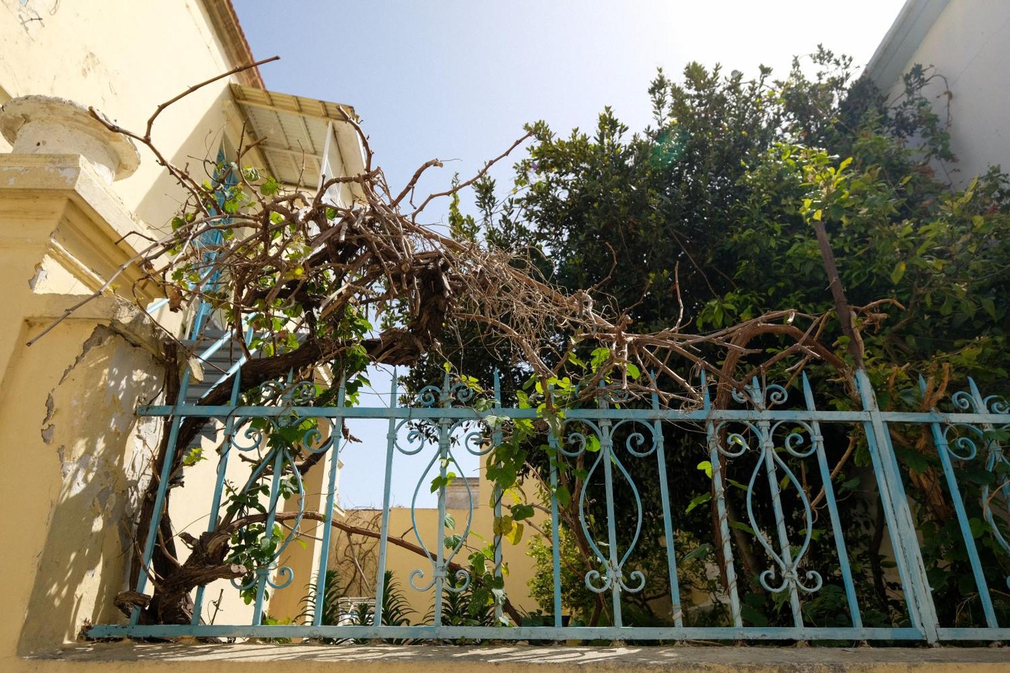 Αρχοντικό Πατάκα Διαμέρισμα Rhodes City Εξωτερικό φωτογραφία